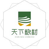 猛干麻逼视频